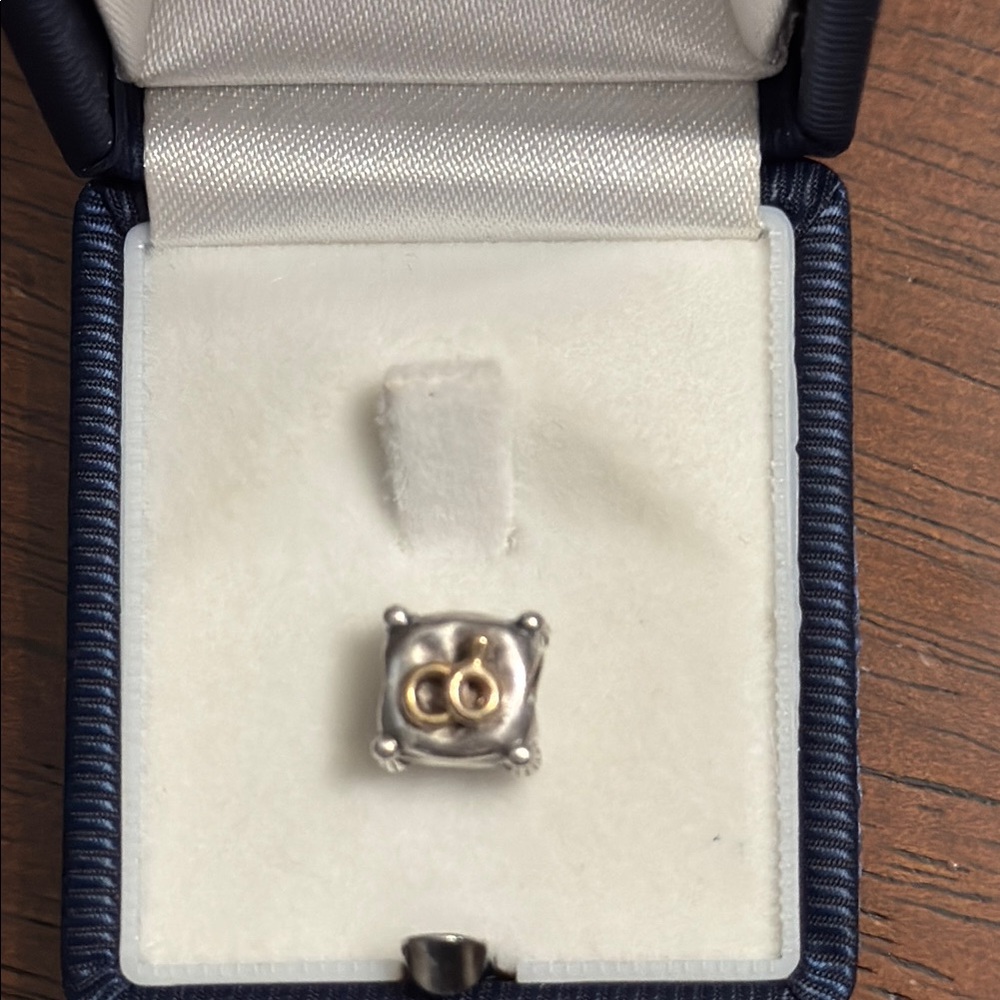 Pandora Silver and Gold Rings Charm